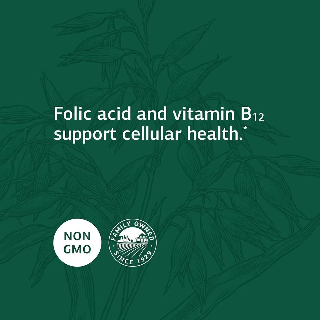 STANDARD PROCESS - Standard Process Folic Acid B12 180 Tabletas - The Red Vitamin MX - Suplementos Alimenticios - {{ shop.shopifyCountryName }}