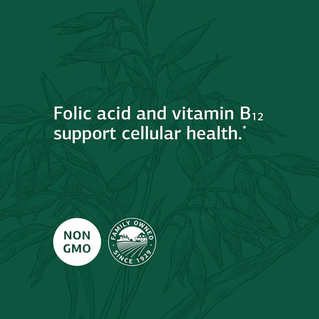 STANDARD PROCESS - Standard Process Folic Acid B12 180 Tabletas - The Red Vitamin MX - Suplementos Alimenticios - {{ shop.shopifyCountryName }}