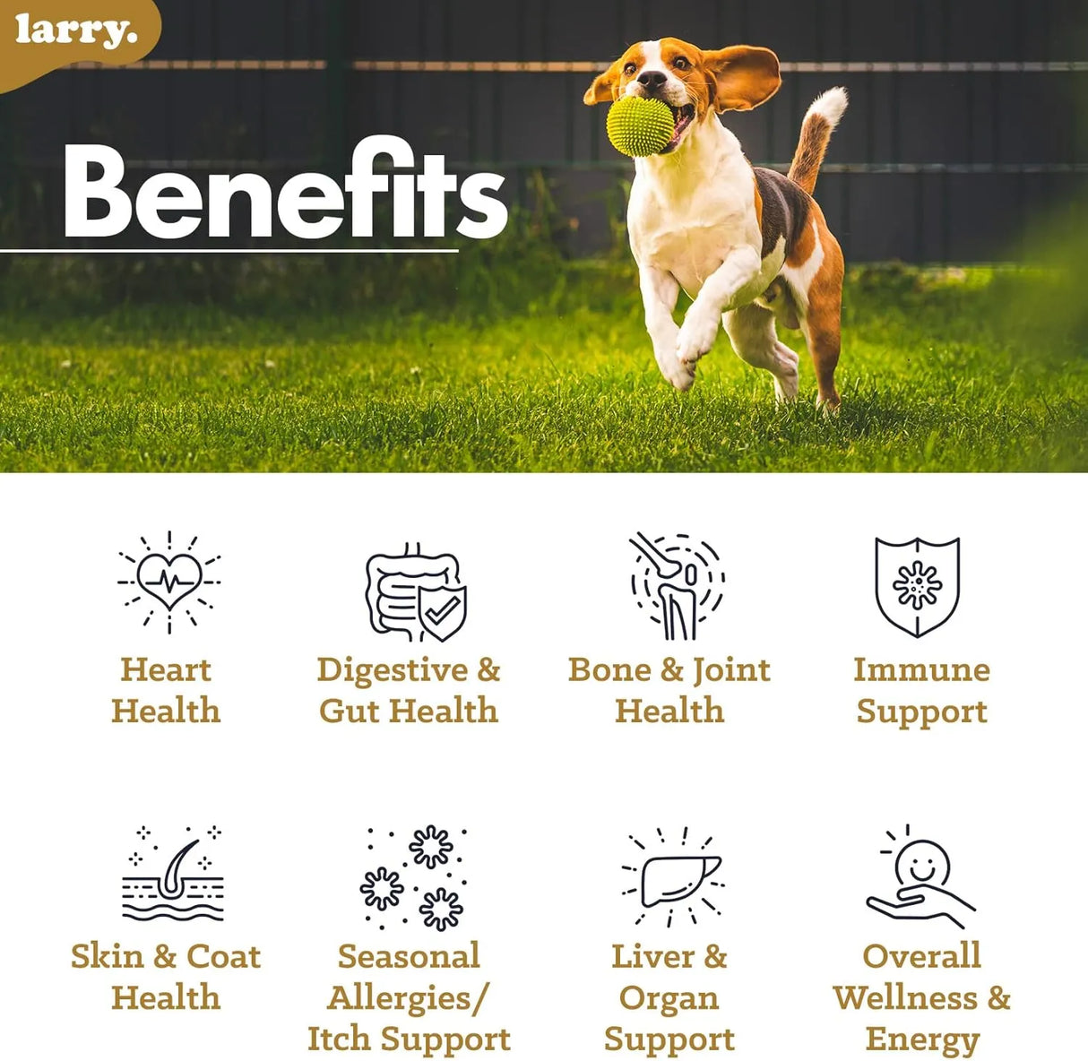 LARRY - Larry 8-in-1 Multivitamin Dog Supplement 120 Masticables - The Red Vitamin MX - Multivitamínicos Para Perros - {{ shop.shopifyCountryName }}