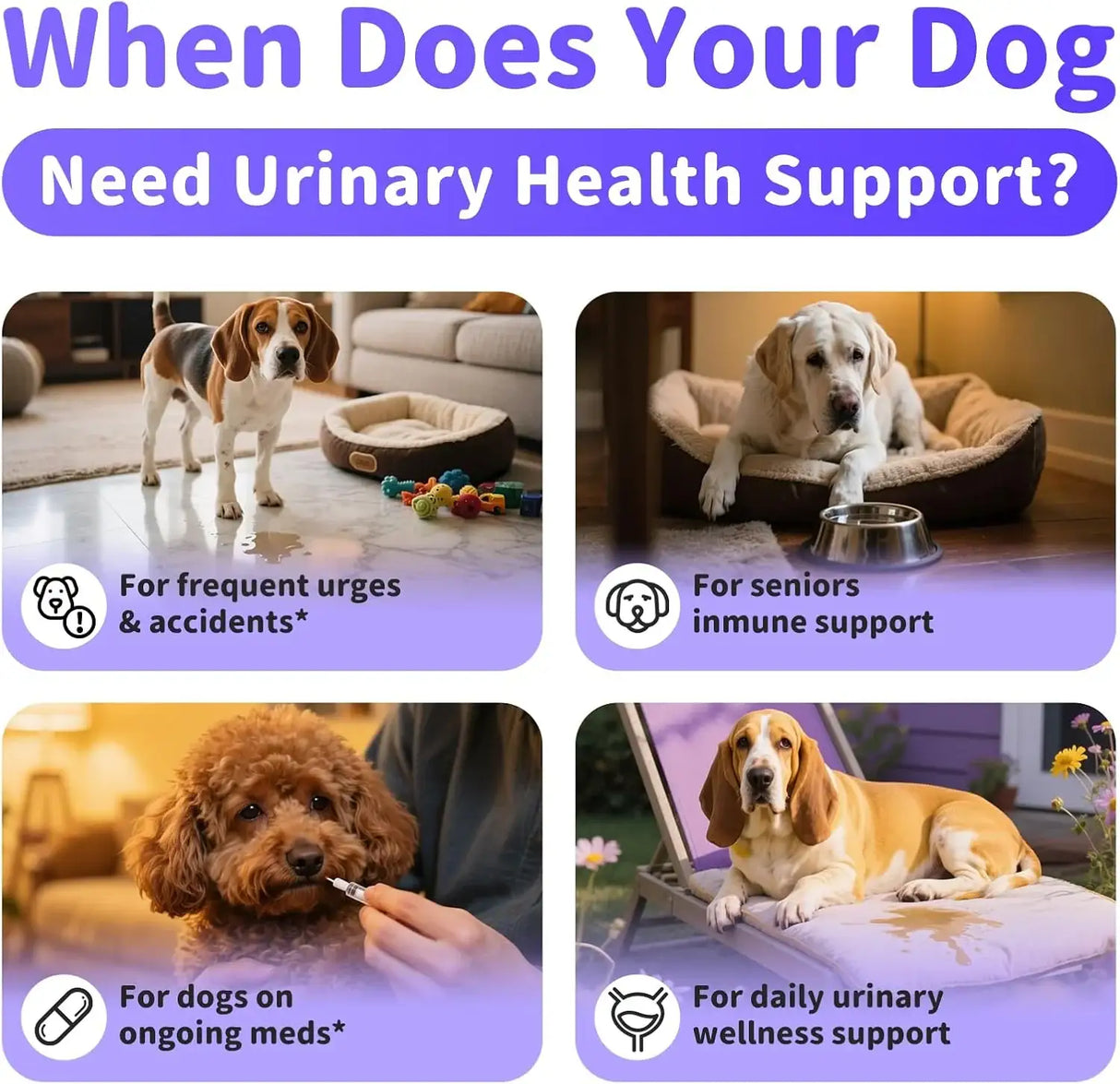 POPPAW - POPPAW Cranberry Supplement for Dog UTI Treatment BACON 90 Masticables - The Red Vitamin MX - Salud De Tracto Urinario Para Perros - {{ shop.shopifyCountryName }}