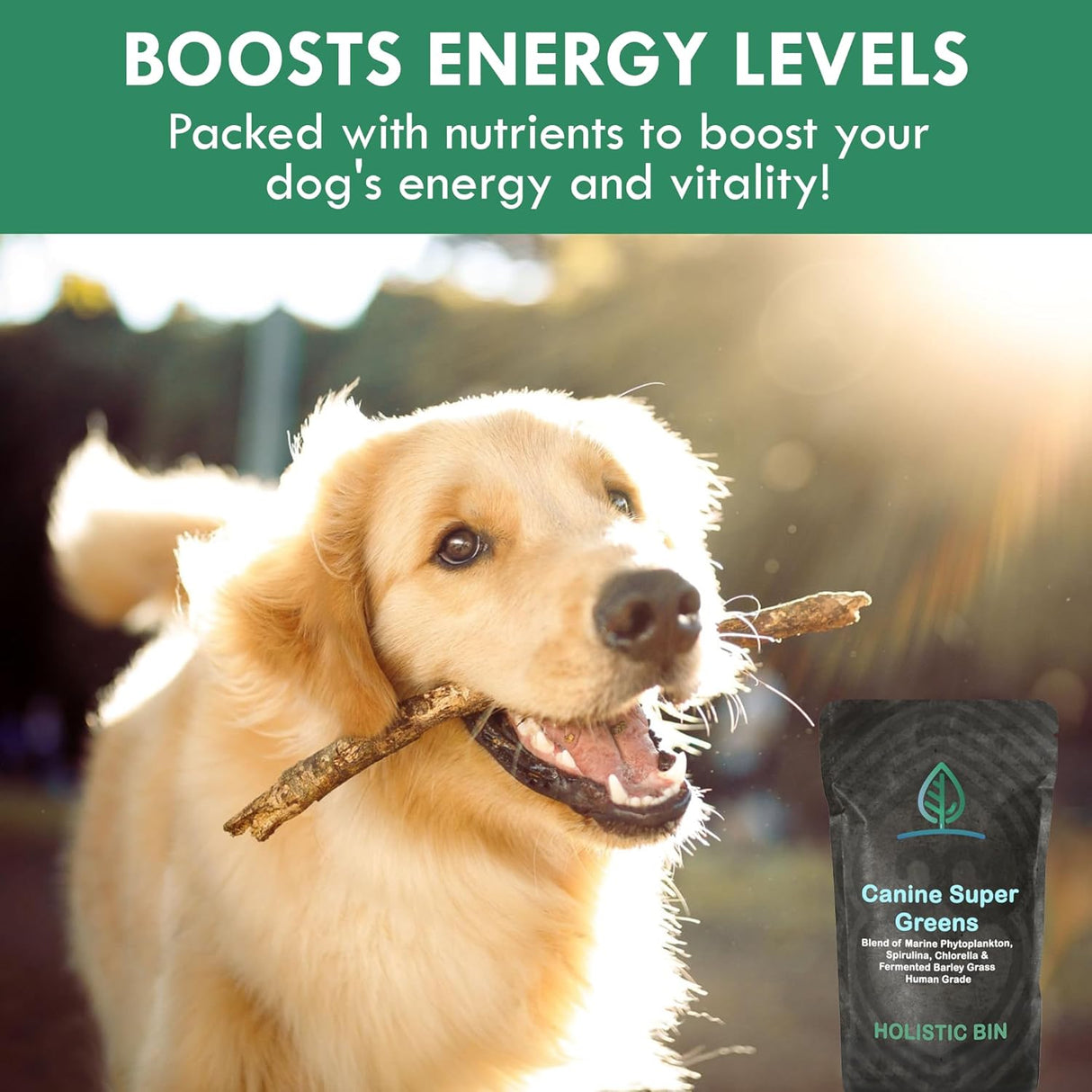 HOLISTIC BIN - HOLISTIC BIN Canine Super Greens 50Gr. - The Red Vitamin MX - Suplementos Herbales Para Perros - {{ shop.shopifyCountryName }}