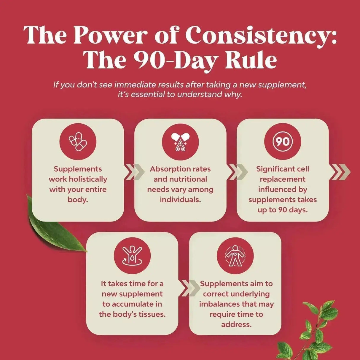 NATURES CRAFT - Natures Craft Advanced Antioxidant Superfood Pomegranate 120 Capsulas - The Red Vitamin MX - Suplementos Alimenticios - {{ shop.shopifyCountryName }}