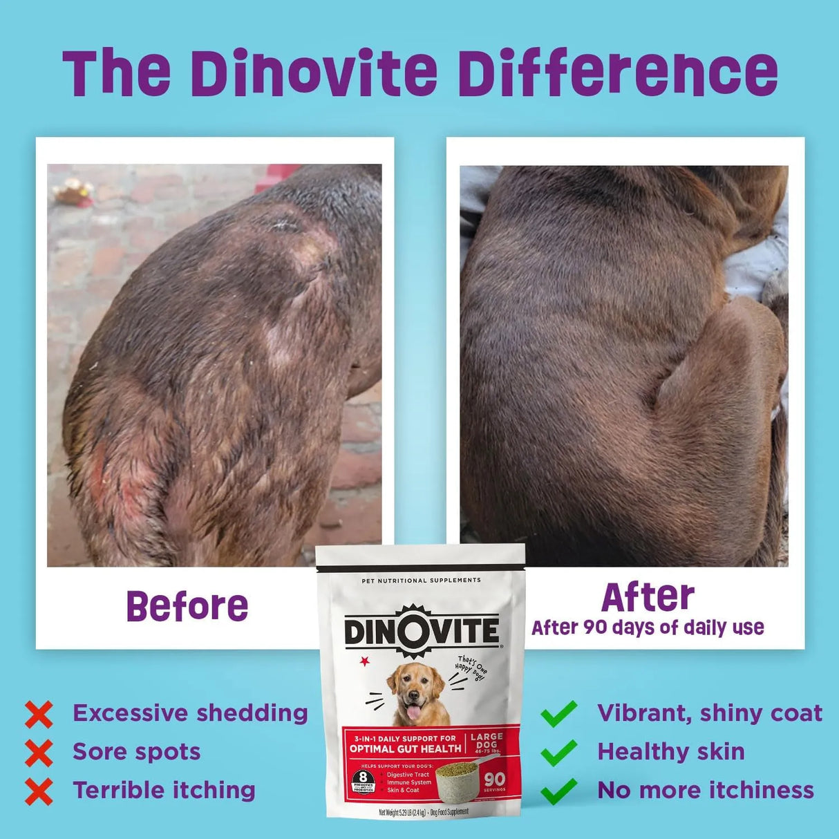 DINOVITE - Dinovite Dog Probiotics Medium Dogs 18-45 lbs 90 Servicios 1.6Kg. - The Red Vitamin MX - Probióticos Para Perros - {{ shop.shopifyCountryName }}