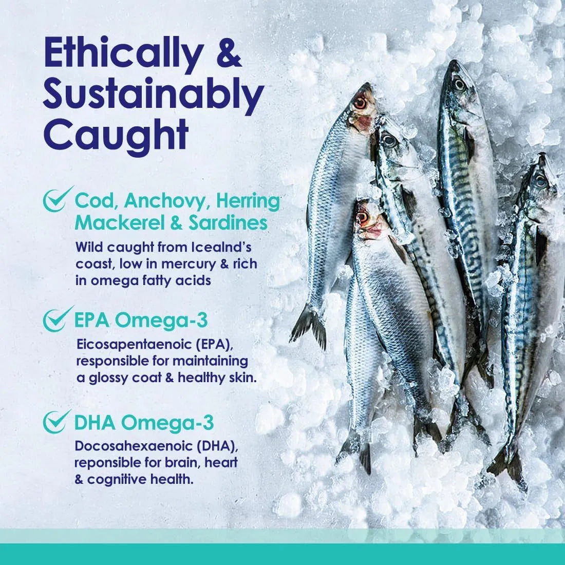 NULIFE - NuLife Liquid Fish Oil for Dogs 16 Fl.Oz. - The Red Vitamin MX - Aceite De Pescado Para Perros - {{ shop.shopifyCountryName }}