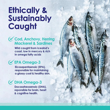 NULIFE - NuLife Liquid Fish Oil for Dogs 16 Fl.Oz. - The Red Vitamin MX - Aceite De Pescado Para Perros - {{ shop.shopifyCountryName }}