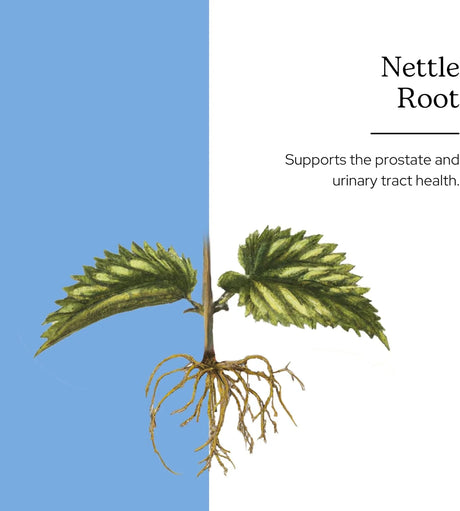 ECLECTIC HERB - Eclectic Institute Raw Fresh Freeze-Dried Non-GMO Nettle Root 90 Capsulas - The Red Vitamin MX - Suplementos Alimenticios - {{ shop.shopifyCountryName }}