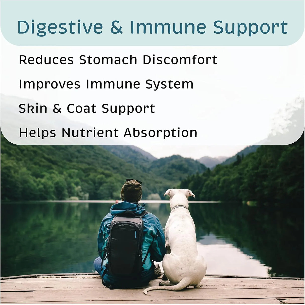 VETONE - VetOne Advita Probiotic Nutritional Supplement for Dogs 30 Paquetes - The Red Vitamin MX - Probióticos Para Perros - {{ shop.shopifyCountryName }}