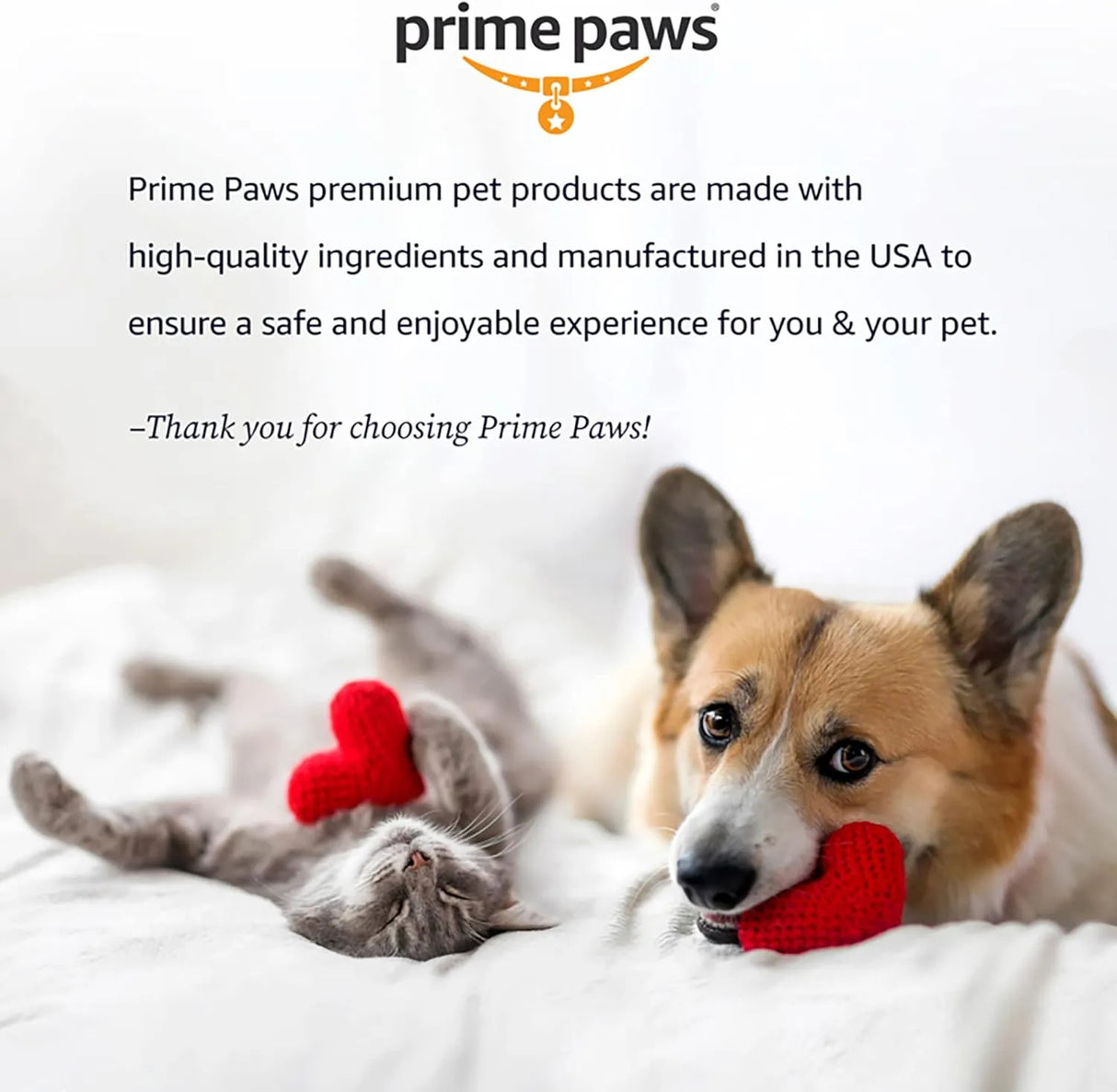 PRIME PAWS - Prime Paws Ear Wipes for Dogs 100 Toallitas - The Red Vitamin MX - Cuidado Del Oído De Perros - {{ shop.shopifyCountryName }}