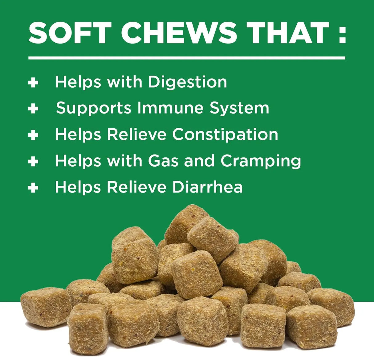 GENUINE NATURALS - Genuine Naturals Digestive Supplement for Dogs Probiotics Chews 120 Masticables - The Red Vitamin MX - Probióticos Para Perros - {{ shop.shopifyCountryName }}