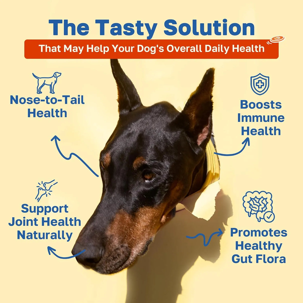 HAPPY PAWS - Happy Paws Multivitamin for Dogs Lamb Flavor 100 Masticables - The Red Vitamin MX - Multivitamínicos Para Perros - {{ shop.shopifyCountryName }}