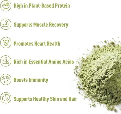 UNLEASH'D ORGANIC - UNLEASH'D ORGANIC Organic Pumpkin Seed Protein Powder 1 Lb. - The Red Vitamin MX - Suplementos Alimenticios - {{ shop.shopifyCountryName }}