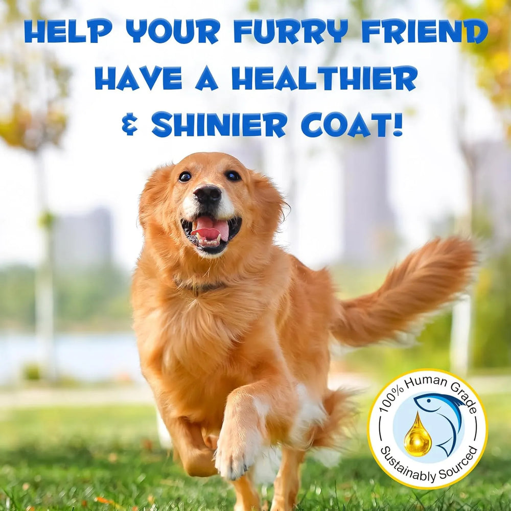 OIMMAL - Oimmal Alaskan Salmon Oil for Dogs & Cats 250Ml. - The Red Vitamin MX - Aceite De Pescado Para Perros - {{ shop.shopifyCountryName }}
