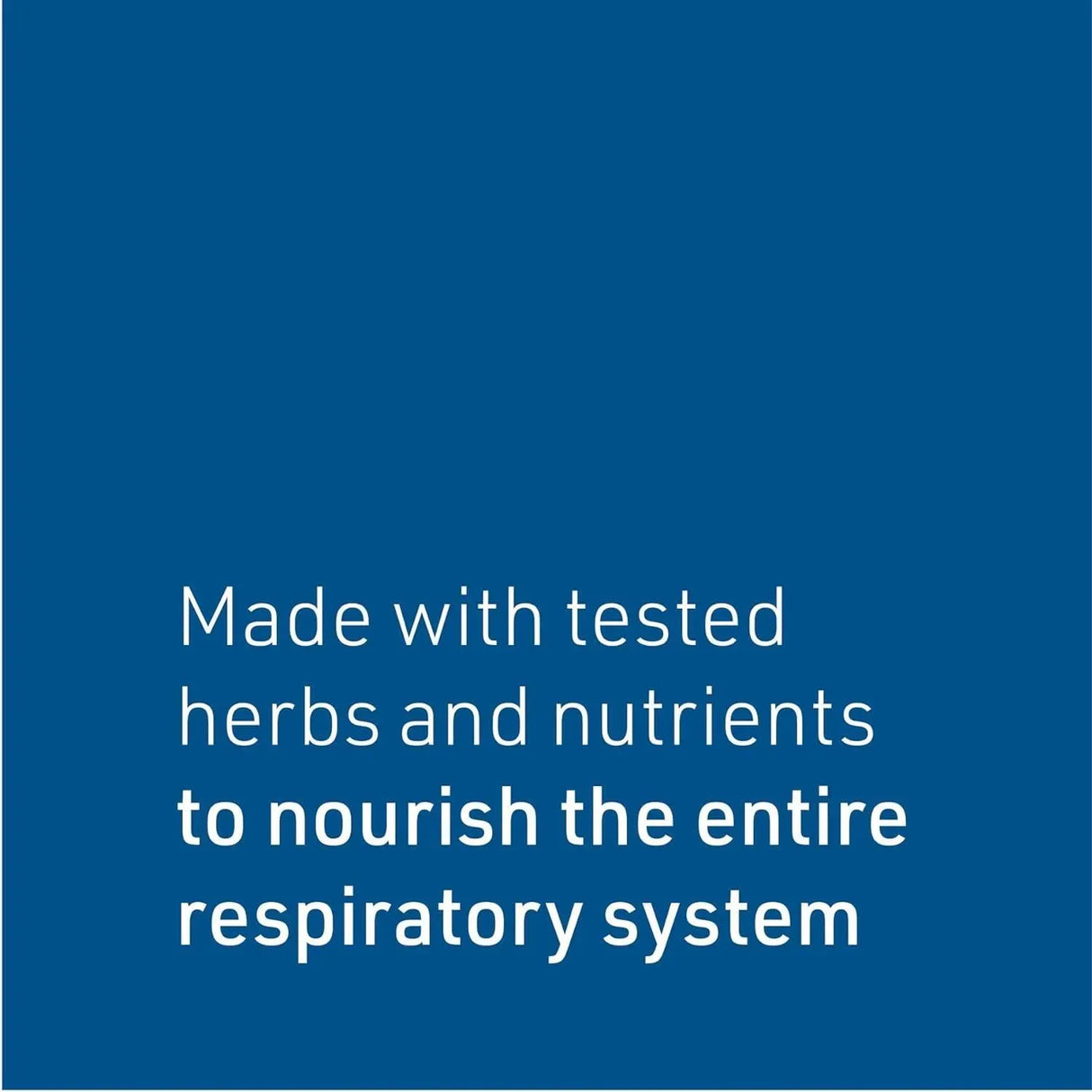 NATURAL FACTORS - Natural Factors Lung, Bronchial & Sinus Health 90 Tabletas - The Red Vitamin MX - Suplementos Alimenticios - {{ shop.shopifyCountryName }}