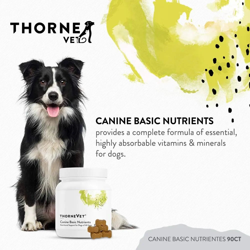 THORNEVET - ThorneVET Canine Basic Nutrients Multivitamin Support for Dogs 90 Masticables - The Red Vitamin MX - Multivitamínicos Para Perros - {{ shop.shopifyCountryName }}