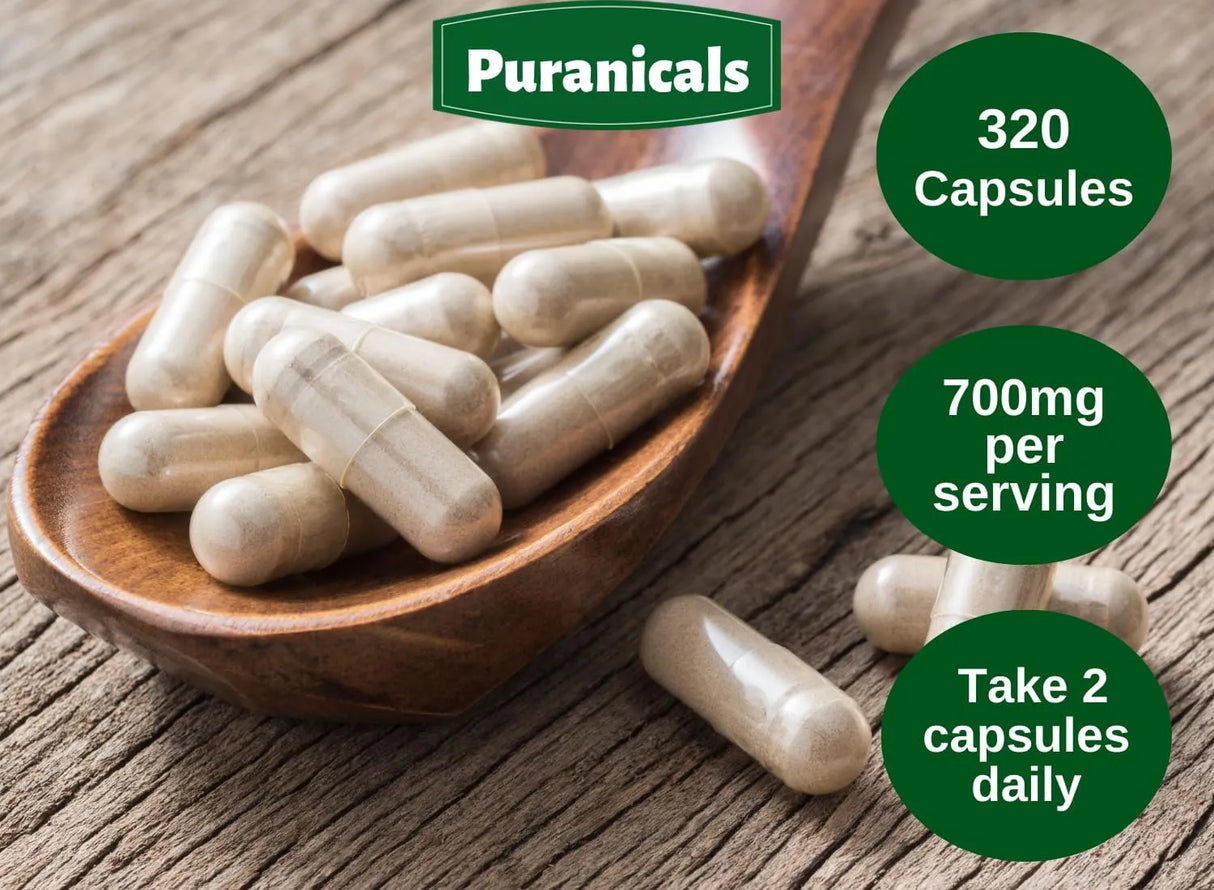 PURANICALS - Puranicals Licorice Premium 320 Capsulas - The Red Vitamin MX - Suplementos Alimenticios - {{ shop.shopifyCountryName }}
