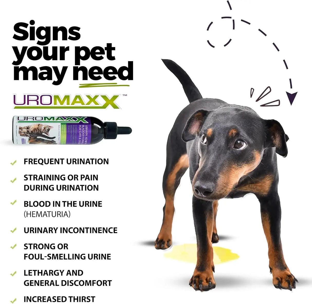 UROMAXX - UroMAXX Cat & Dog Urinary Tract Treatment Chicken Flavor 6 Fl.Oz. 2 Pack - The Red Vitamin MX - Salud De Tracto Urinario Para Perros - {{ shop.shopifyCountryName }}