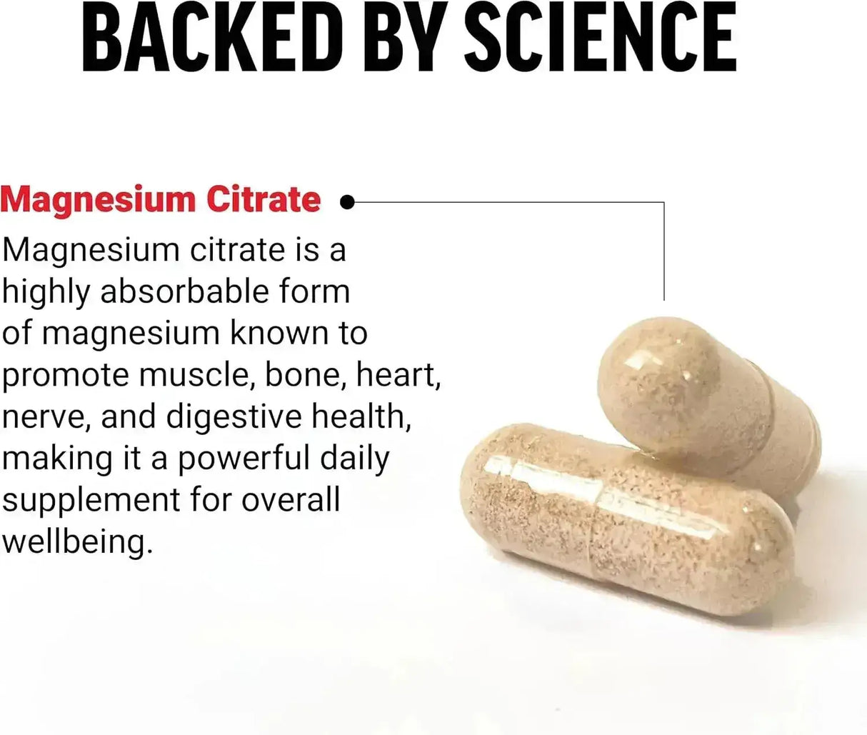 FORCE FACTOR - Force Factor Magnesium Citrate 150Mg. 180 Capsulas - The Red Vitamin MX - Suplementos Alimenticios - {{ shop.shopifyCountryName }}