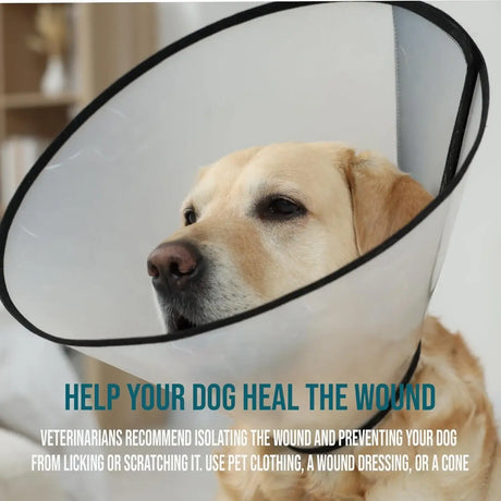 FORTICEPT - Forticept Blue Butter Hot Spot Treatment for Dogs & Cats 2 Oz. - The Red Vitamin MX - Remedios Para La Picazón De Perros - {{ shop.shopifyCountryName }}