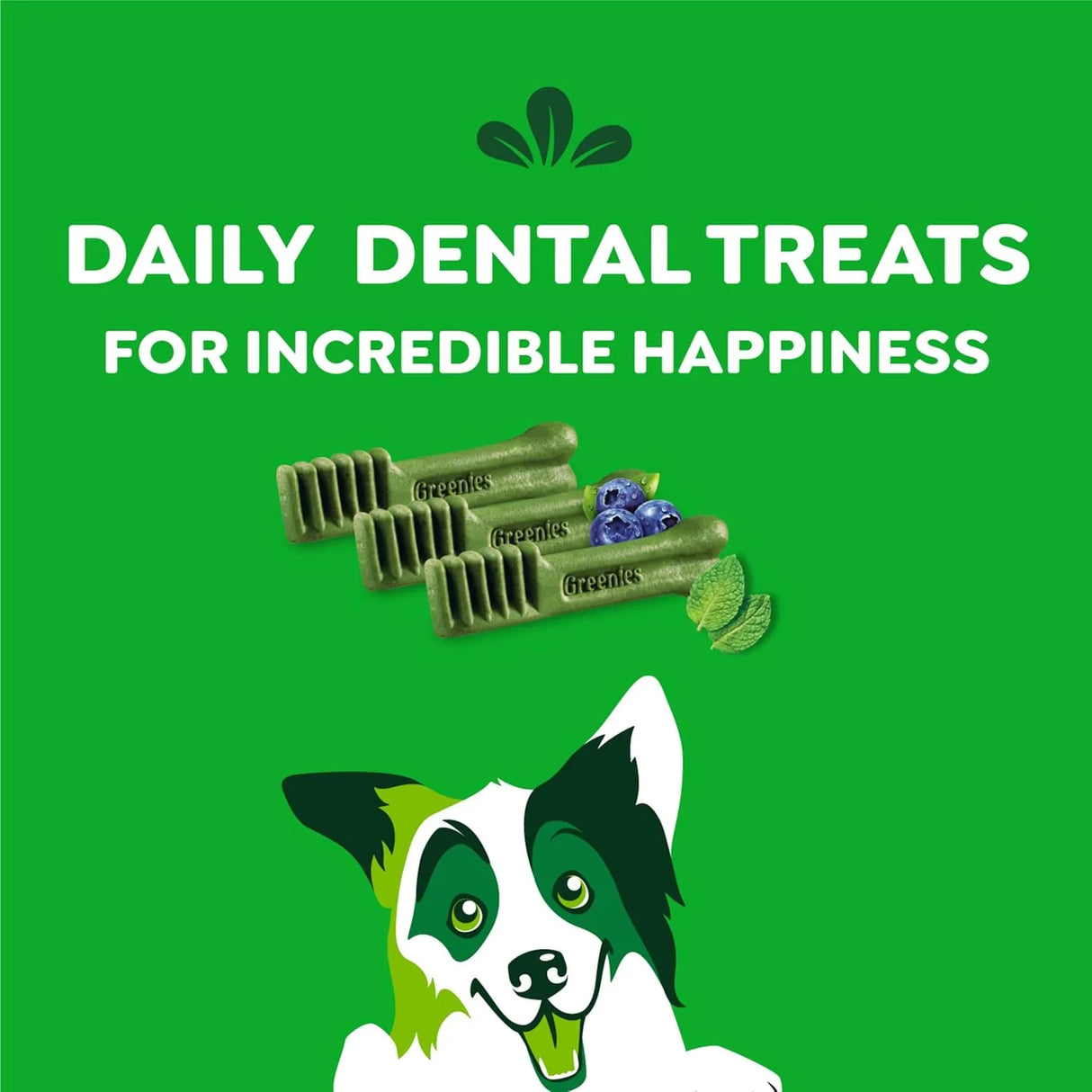 GREENIES - Greenies Regular Natural Dental Care Dog Treats Variety Pack 36 Piezas - The Red Vitamin MX - Cuidado Dental Para Perros - {{ shop.shopifyCountryName }}