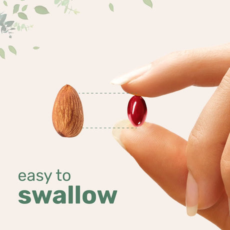 MICRO INGREDIENTS - Micro Ingredients CoQ10 100Mg. 240 Capsulas Blandas - The Red Vitamin MX - Suplementos Alimenticios - {{ shop.shopifyCountryName }}