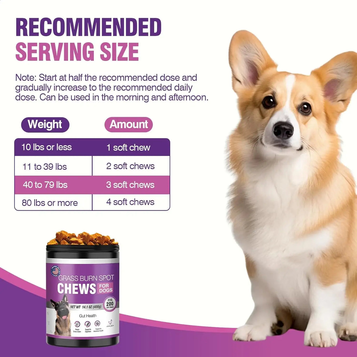 TTLXRL - TTLXRL Grass Burn Spot Chews for Dogs 200 Masticables - The Red Vitamin MX - Salud De Tracto Urinario Para Perros - {{ shop.shopifyCountryName }}