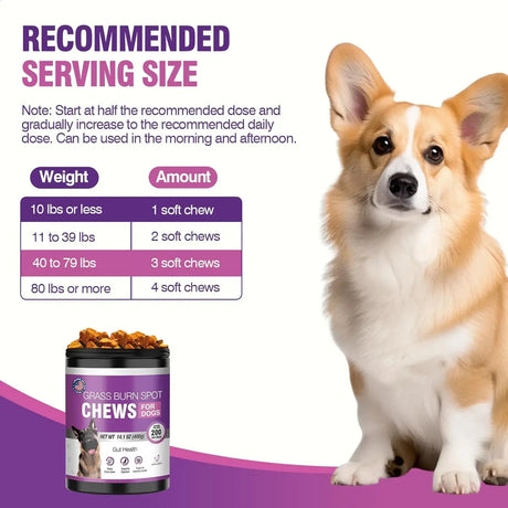 TTLXRL - TTLXRL Grass Burn Spot Chews for Dogs 200 Masticables - The Red Vitamin MX - Salud De Tracto Urinario Para Perros - {{ shop.shopifyCountryName }}