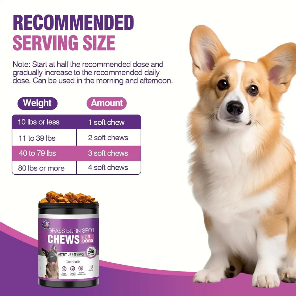 TTLXRL - TTLXRL Grass Burn Spot Chews for Dogs 200 Masticables - The Red Vitamin MX - Salud De Tracto Urinario Para Perros - {{ shop.shopifyCountryName }}