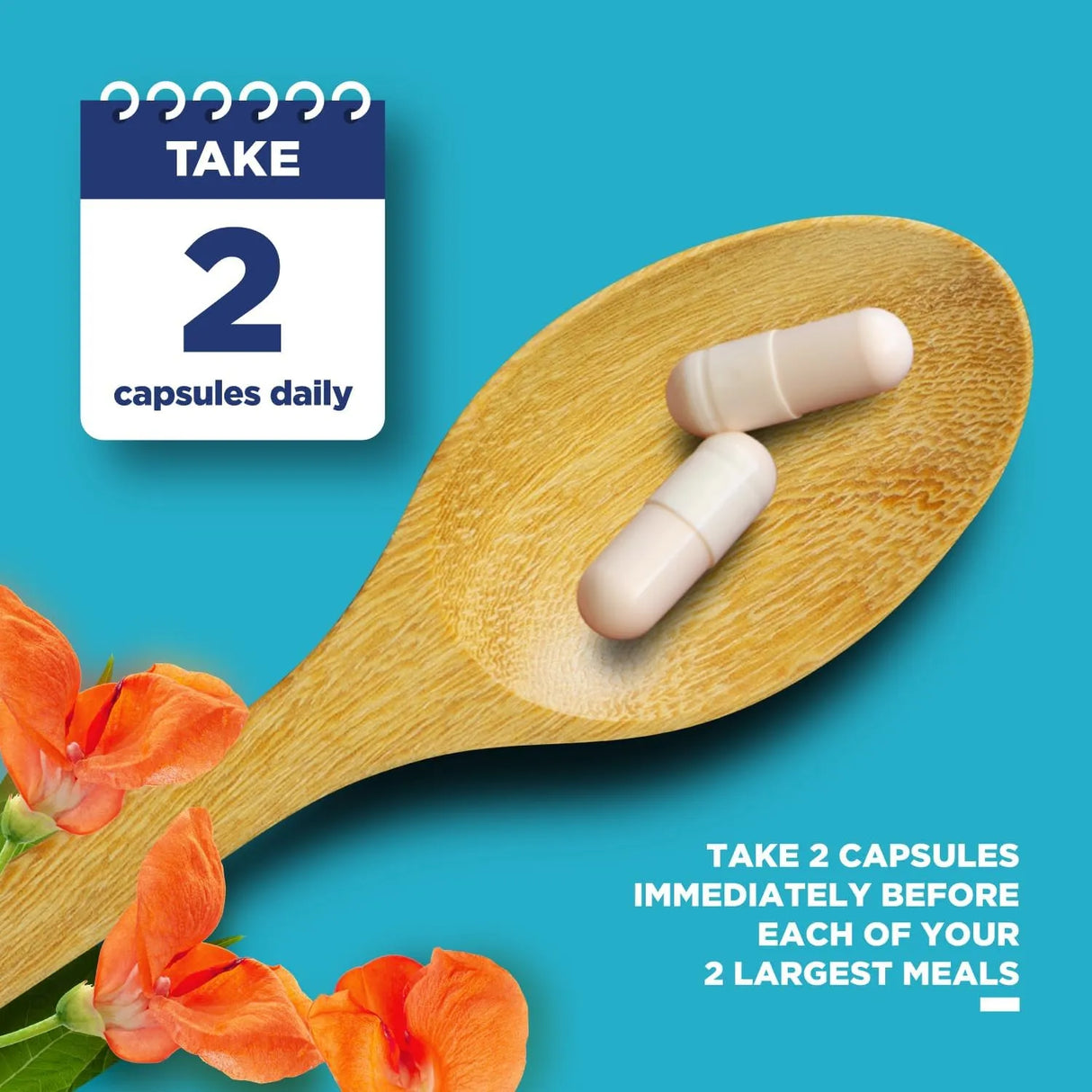 PHYTORAL - Phytoral White Kidney Bean Extract 60 Capsulas - The Red Vitamin MX - Suplementos Alimenticios - {{ shop.shopifyCountryName }}