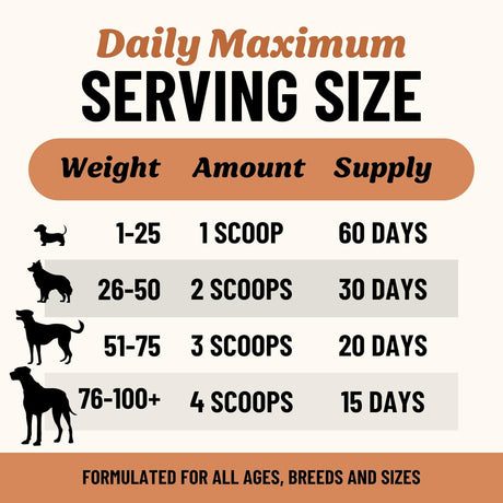 FIDO'S - Fido's Longevity Bone Broth for Dogs Turkey Tail + Maitake Mushroom 60 Servicios 184Gr. - The Red Vitamin MX - Suplementos Herbales Para Perros - {{ shop.shopifyCountryName }}