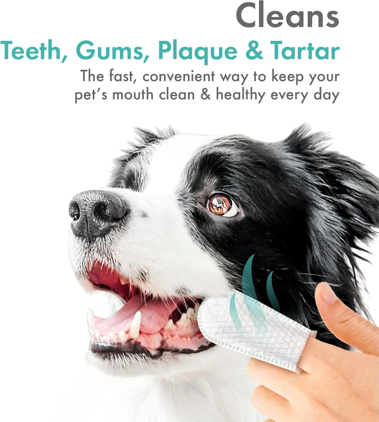 PETKIN - Petkin Fingertip Tooth Wipes for Dogs and Cats Fresh Mint 50 Toallitas - The Red Vitamin MX - Cuidado Dental Para Perros - {{ shop.shopifyCountryName }}