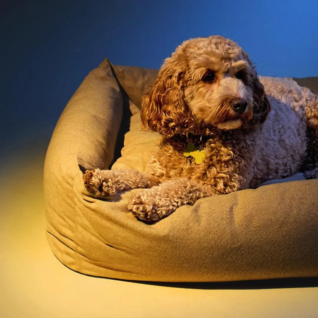 BACH - RESCUE Bach PET Sleep Dropper 10Ml. - The Red Vitamin MX - Relajantes Para Perros - {{ shop.shopifyCountryName }}