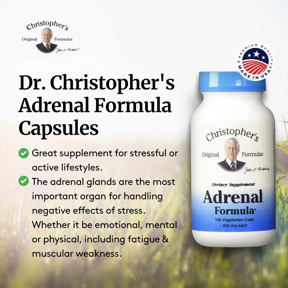 CHRISTOPHER´S - Christopher's Original Formulas Adrenal Formula 100 Capsulas - The Red Vitamin MX - Suplementos Alimenticios - {{ shop.shopifyCountryName }}