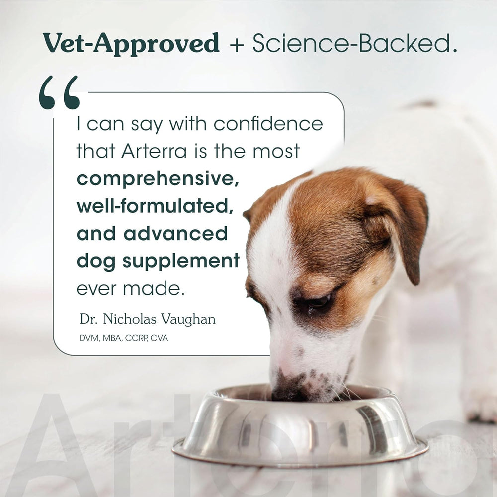 ARTERRA - Arterra Pet Science Senior Dog Powder Supplement & Food Topper 30 Servicios 290Gr. - The Red Vitamin MX - Suplementos Herbales Para Perros - {{ shop.shopifyCountryName }}