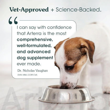ARTERRA - Arterra Pet Science Senior Dog Powder Supplement & Food Topper 30 Servicios 290Gr. - The Red Vitamin MX - Suplementos Herbales Para Perros - {{ shop.shopifyCountryName }}