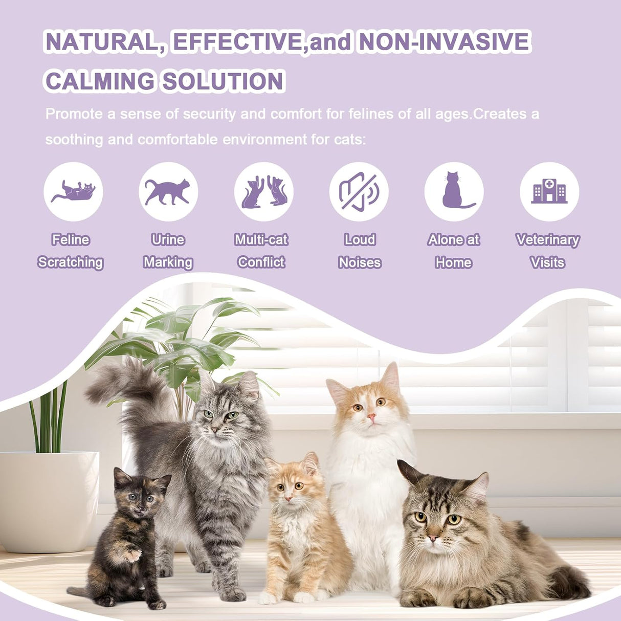 Budobiruon Cat Calming Diffuser
