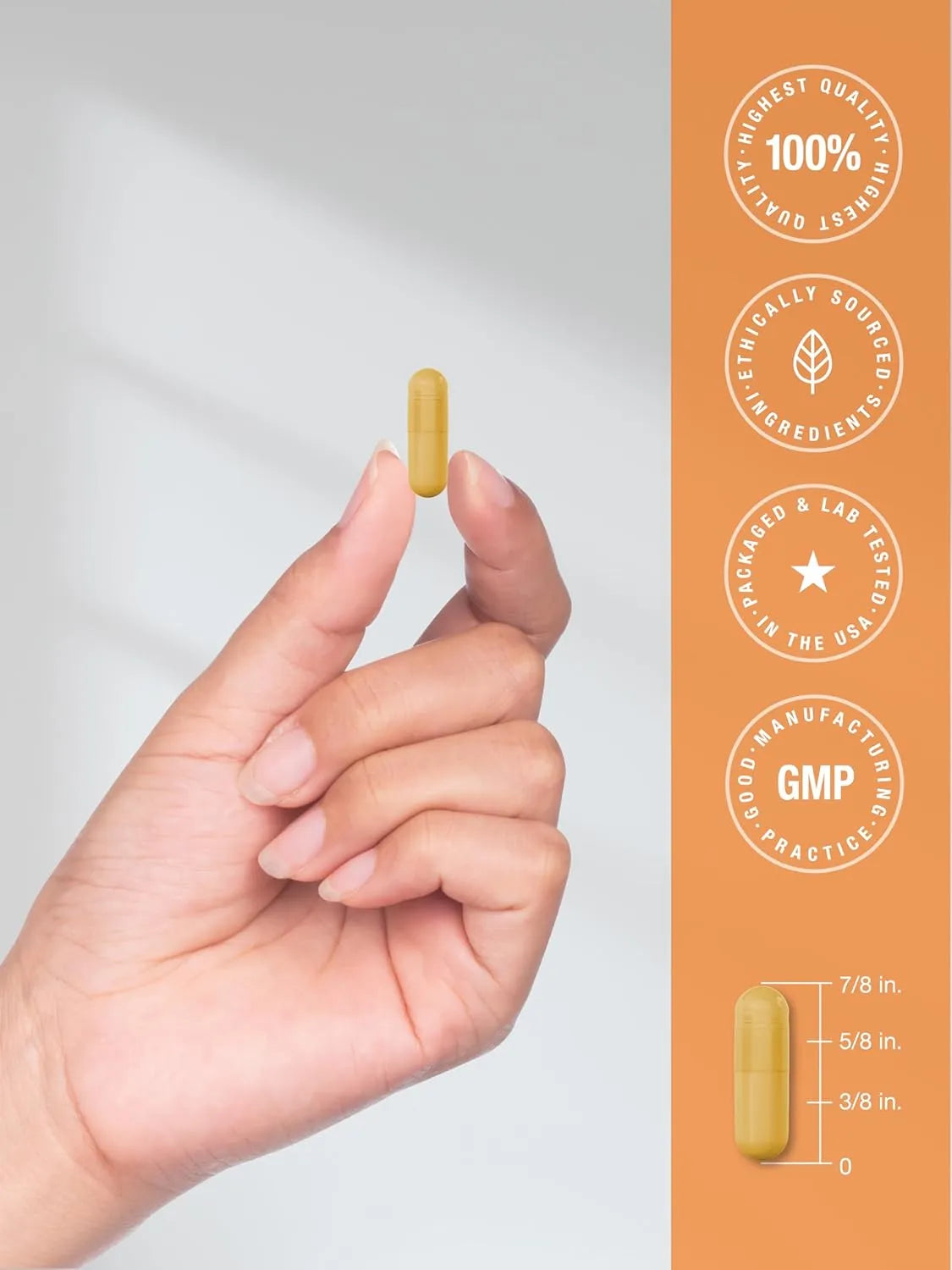 HORBAACH - Horbaach Vitamin B-100 Complex 60 Capsulas - The Red Vitamin MX - Suplementos Alimenticios - {{ shop.shopifyCountryName }}