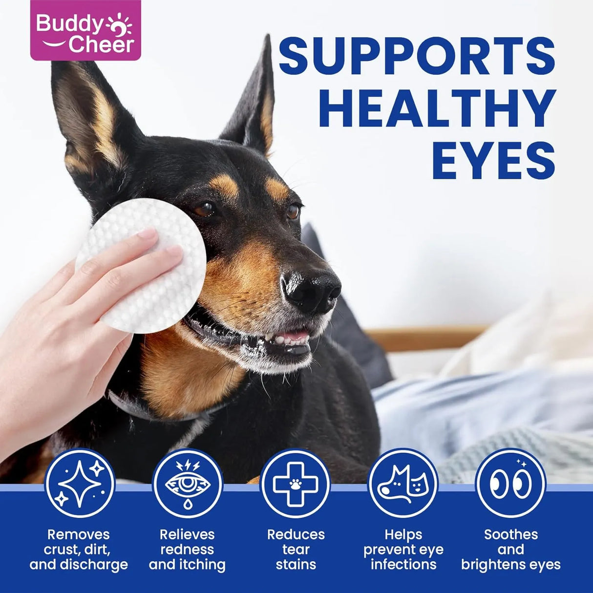 BUDDYCHEER - BuddyCheer Dog Eye Wipes 100 Toallitas - The Red Vitamin MX - Cuidado De Los Ojos De Los Perros - {{ shop.shopifyCountryName }}