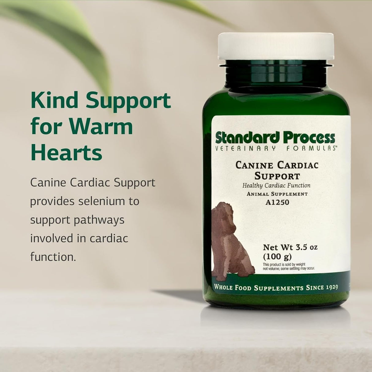 Standard Process Canine Cardiac Support 100Gr.
