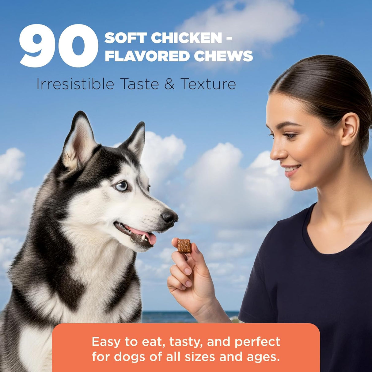giv soft butter Hip & Joint Supplement Chews for Dogs 90 Masticables