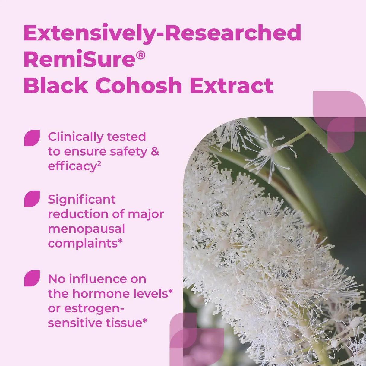 MEDICE - Medice Remifemin Menopause Symptoms Relief 60 Tabletas - The Red Vitamin MX - Suplementos Alimenticios - {{ shop.shopifyCountryName }}