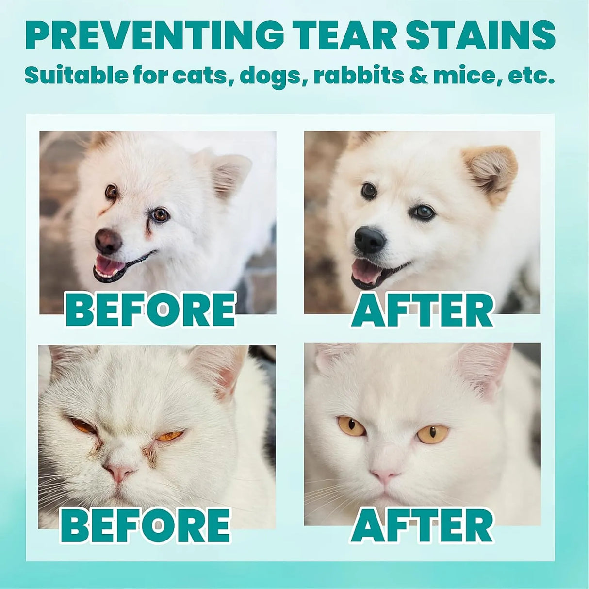 MEDUWEDU - MEDUWEDU Eyes Wipes for Dogs & Cats Mint Scent 120 Toallitas - The Red Vitamin MX - Cuidado De Los Ojos De Los Perros - {{ shop.shopifyCountryName }}