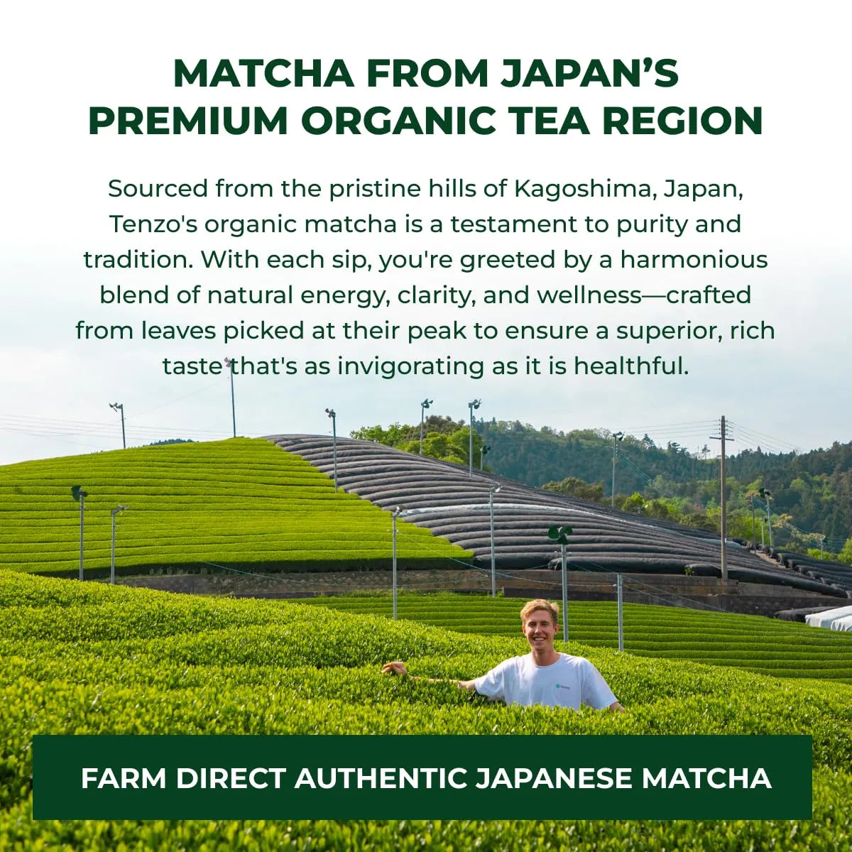 TENZO - Tenzo Matcha Green Tea Powder 400Gr. - The Red Vitamin MX - Suplementos Alimenticios - {{ shop.shopifyCountryName }}