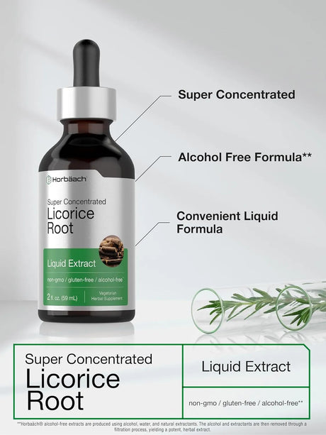 HORBAACH - Horbaach Licorice Root Extract 2 Fl.Oz. - The Red Vitamin MX - Suplementos Alimenticios - {{ shop.shopifyCountryName }}