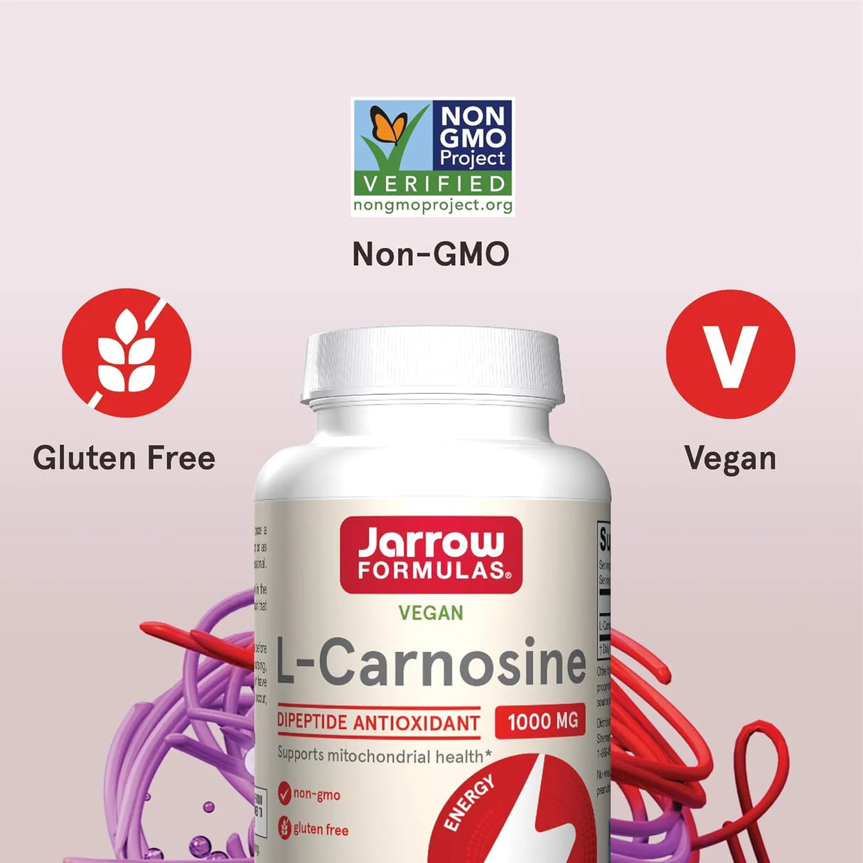 JARROW FORMULAS - Jarrow Formulas L-Carnosine 1000Mg. 90 Capsulas - The Red Vitamin MX - Suplementos Alimenticios - {{ shop.shopifyCountryName }}