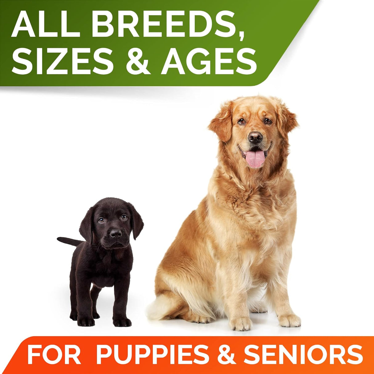 STRELLALAB Pumpkin Powder for Dogs 8 Oz.