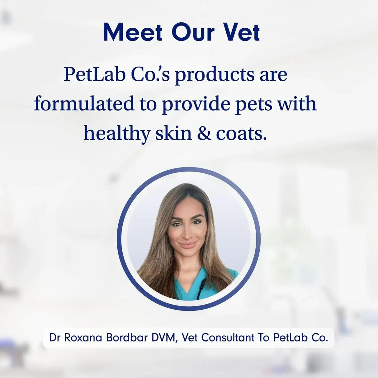 PETLAB CO. - PetLab Co. Salmon Itch Relief Chew Pro for Dogs 30 Masticables - The Red Vitamin MX - Remedios Para La Picazón De Perros - {{ shop.shopifyCountryName }}