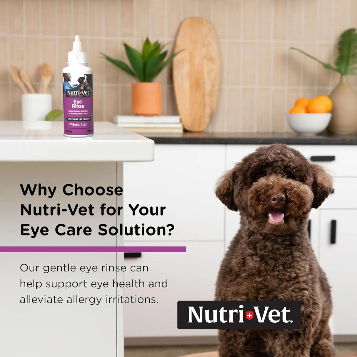 NUTRI-VET - Nutri-Vet Eye Rinse for Dogs 4 Fl.Oz. - The Red Vitamin MX - Cuidado De Los Ojos De Los Perros - {{ shop.shopifyCountryName }}