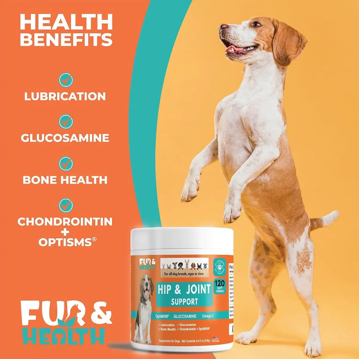 FUR & HEALTH - Fur & Health Glucosamine Chondroitin Hip & Joint Supplement for Dogs 120 Masticables - The Red Vitamin MX - Cuidado De Cadera Y Articulaciones Para Perros - {{ shop.shopifyCountryName }}