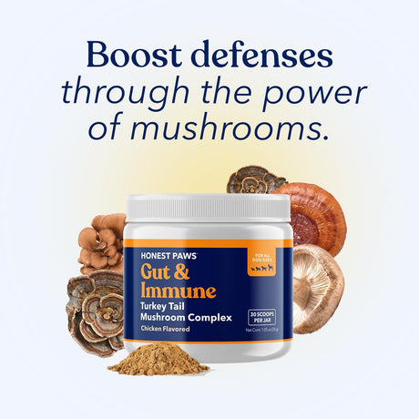 HONEST PAWS - Honest Paws Turkey Tail Mushroom for Dogs 30 Servicios 30Gr. - The Red Vitamin MX - Suplementos Herbales Para Perros - {{ shop.shopifyCountryName }}