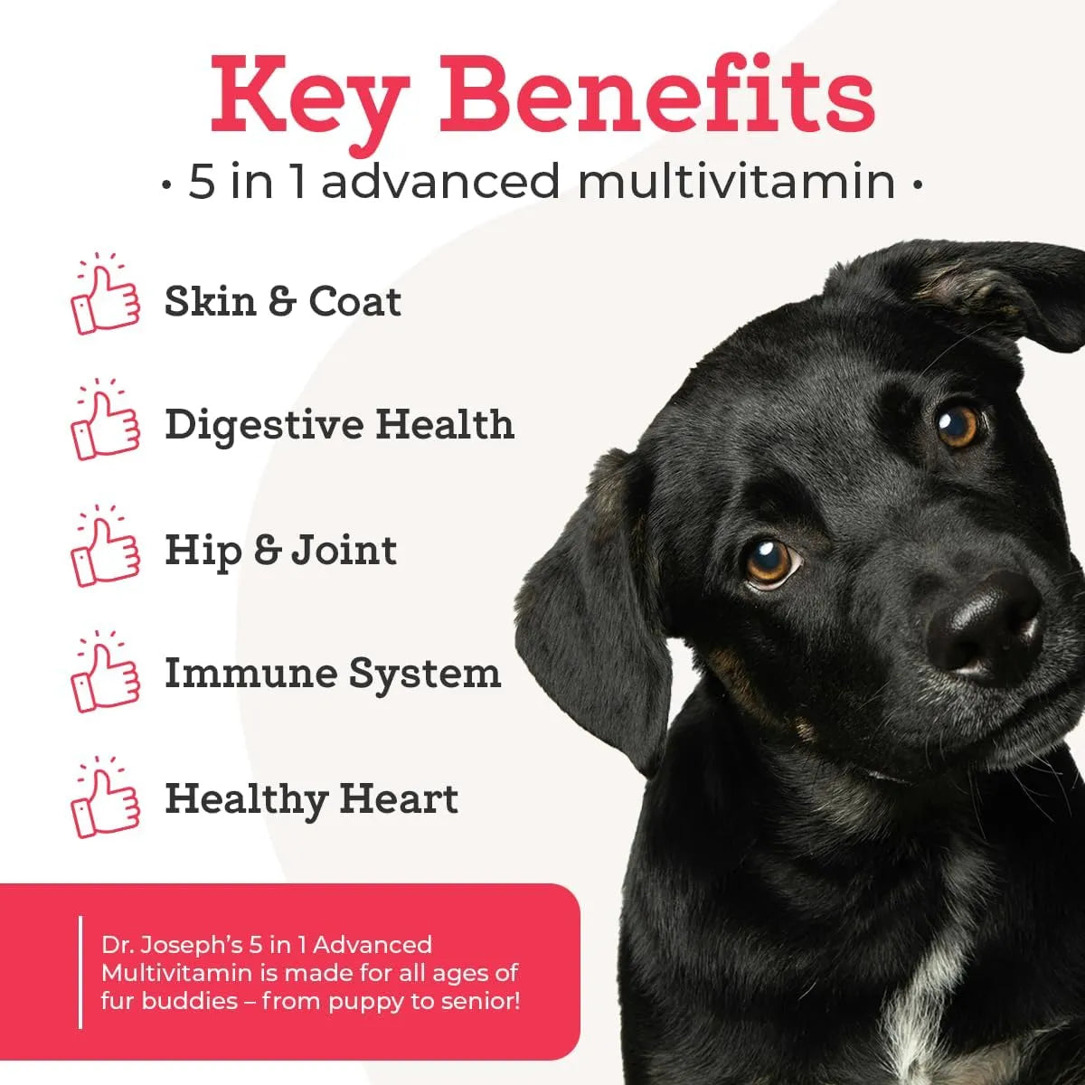 DR. JOSEPH'S - Dr. Joseph's VetPro Complete Multivitamin Dog 60 Masticables - The Red Vitamin MX - Multivitamínicos Para Perros - {{ shop.shopifyCountryName }}